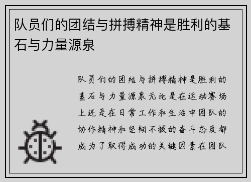 队员们的团结与拼搏精神是胜利的基石与力量源泉