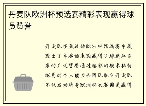 丹麦队欧洲杯预选赛精彩表现赢得球员赞誉