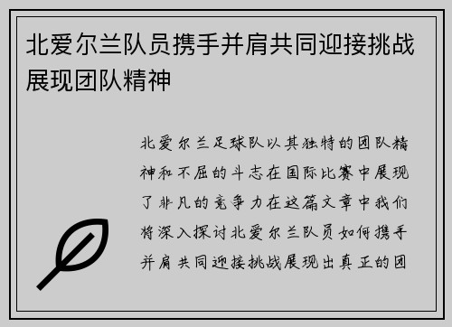北爱尔兰队员携手并肩共同迎接挑战展现团队精神