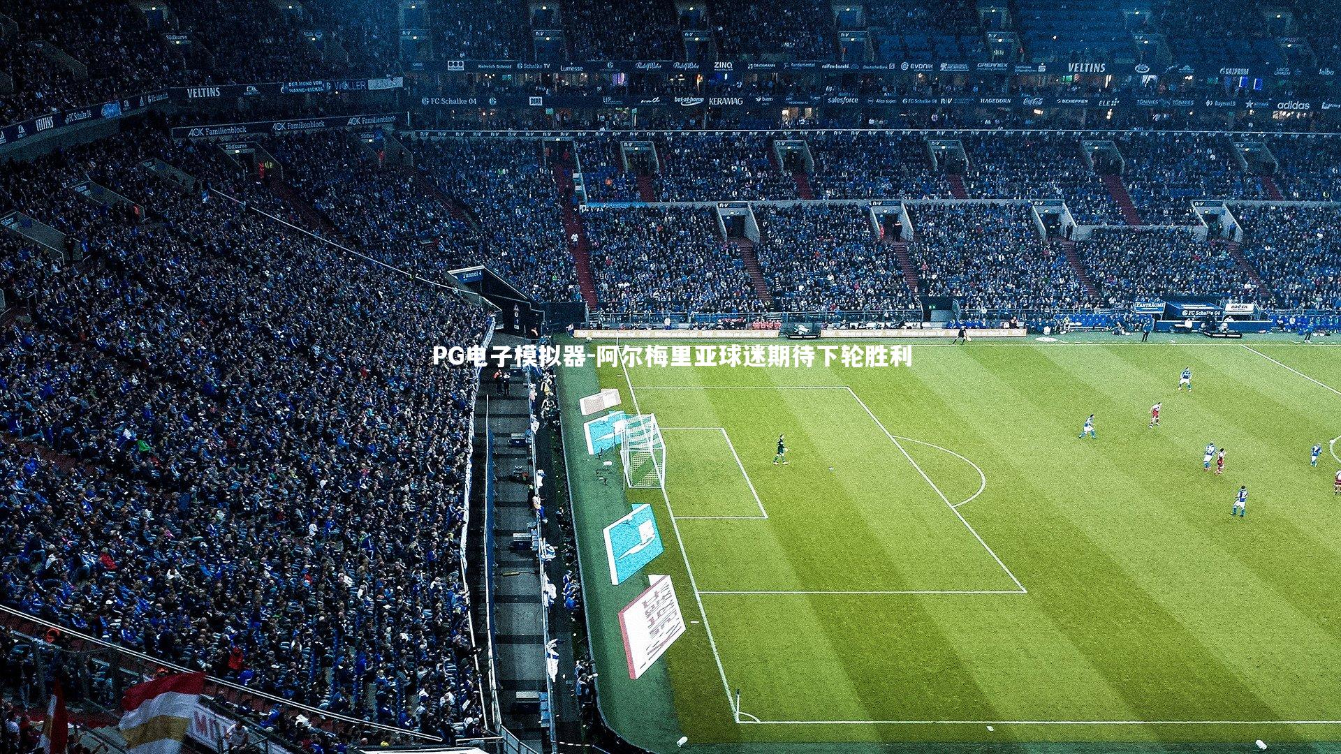 阿尔梅里亚球迷期待下轮胜利