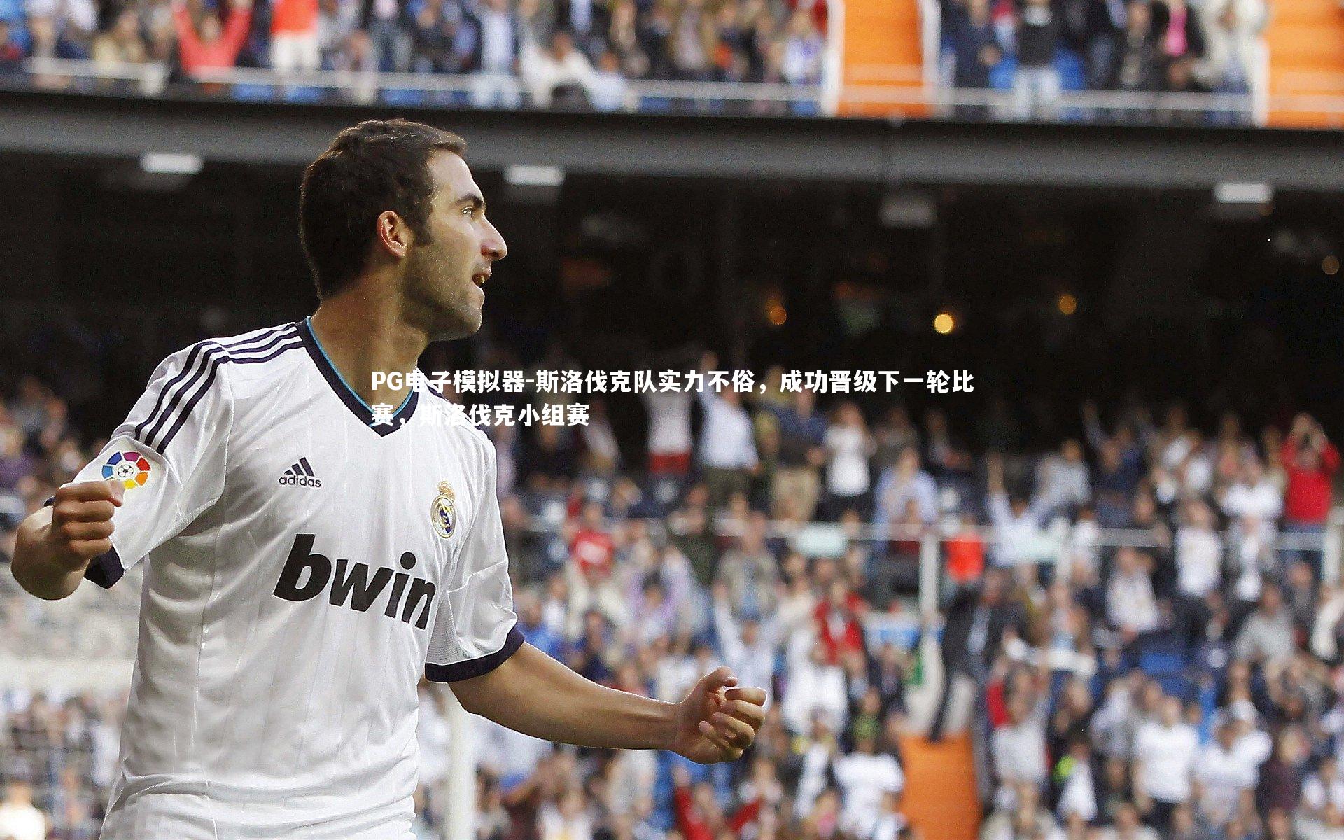 斯洛伐克队实力不俗，成功晋级下一轮比赛，斯洛伐克小组赛